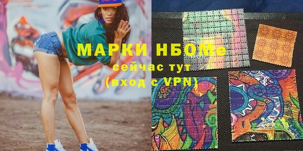 индика Балахна