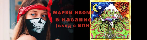 индика Балахна