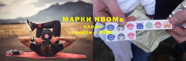 индика Балахна