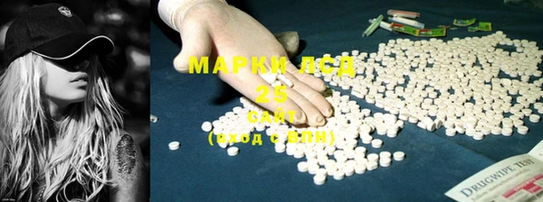 индика Балахна