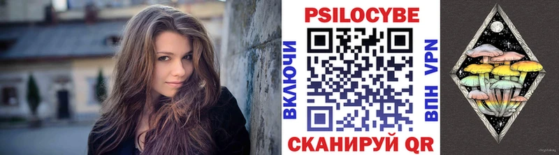 Купить где  Аргун  Псилоцибиновые грибы мухоморы 