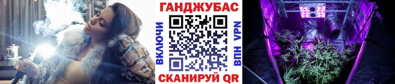 Купить где  Аргун  Конопля марихуана 